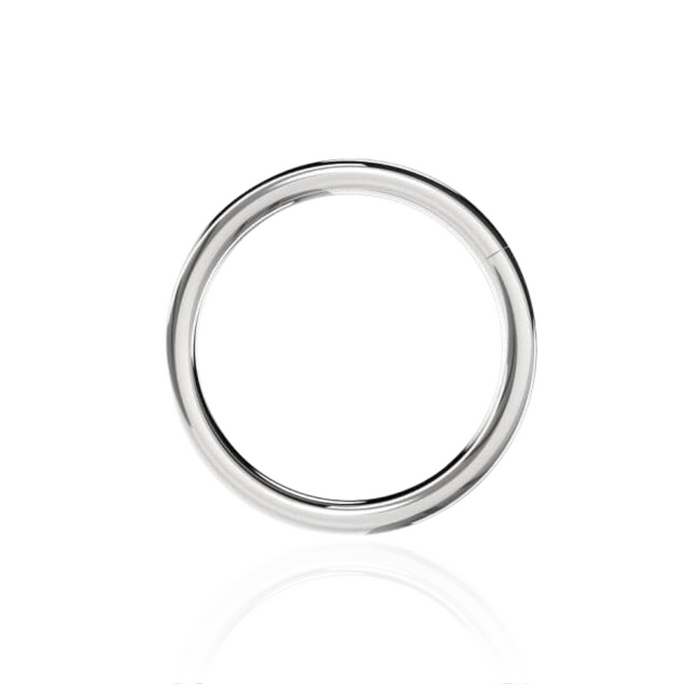 316L Surgical Steel 14G Hinged Segment Clicker Ring