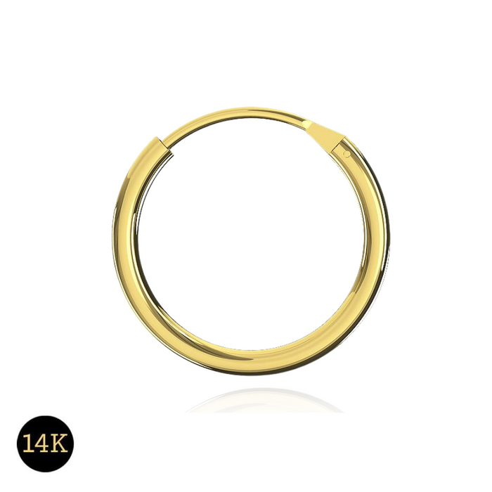 14K Gold Segment Hoop Nose Ring