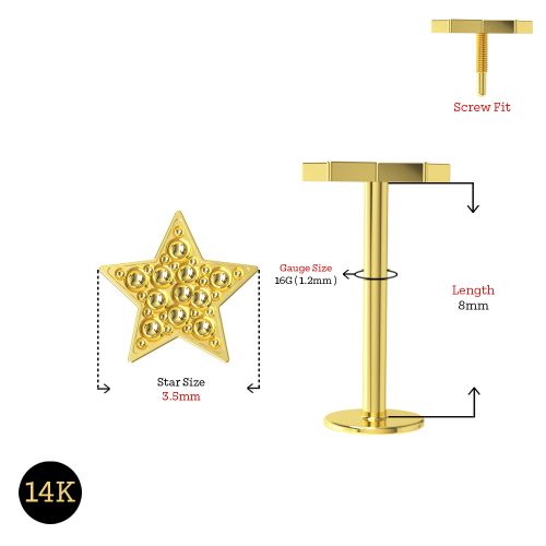 14K Gold Internally Threaded Star Screw Fit Stud