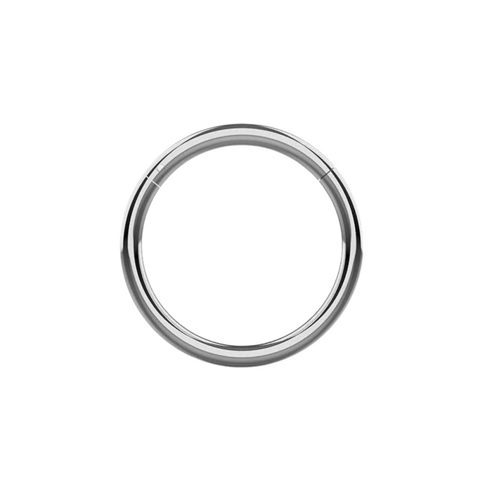 G23 Grade Titanium Hinged Segment Clicker Rings - Monster Piercing