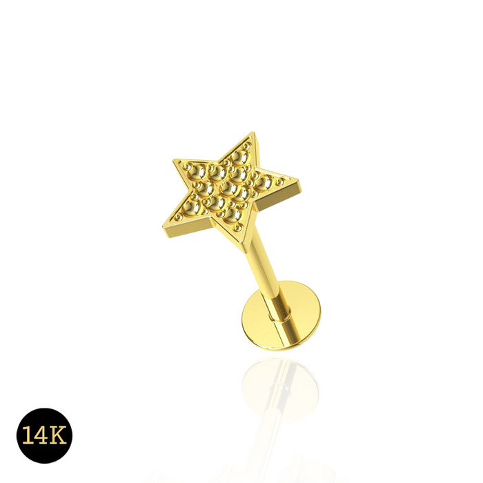 14K Gold Internally Threaded Star Screw Fit Stud