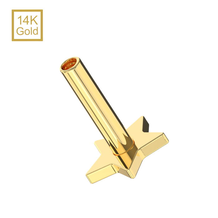 14K Gold Internal Thread Star Back Labret Bar