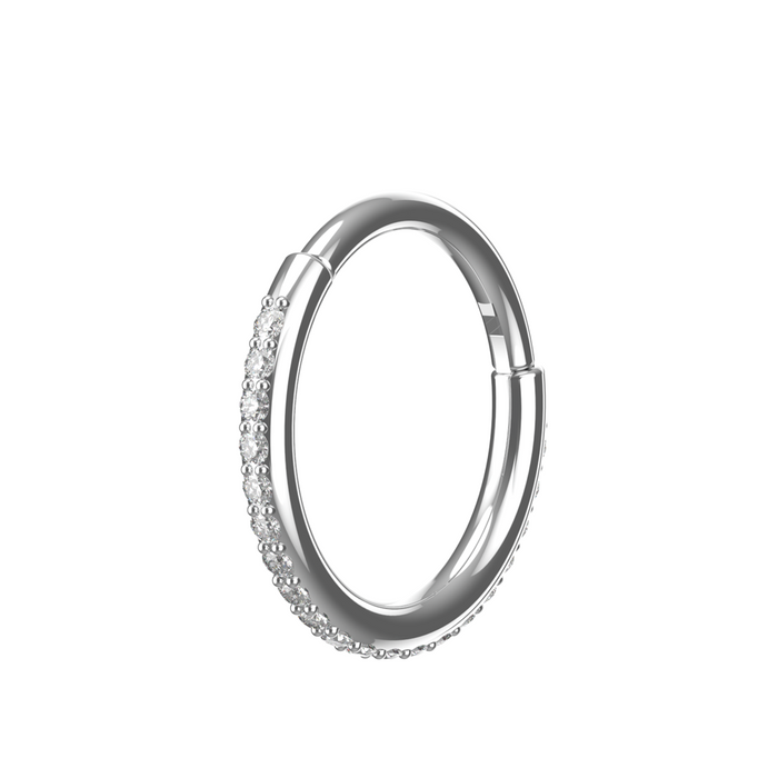 316L Surgical Steel and CZ Studded Hinged Segment Clicker Ring