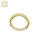 14K Solid Yellow Gold Round CZ Jewelled Oval Shape Segment Clicker Ring - Monster Piercing