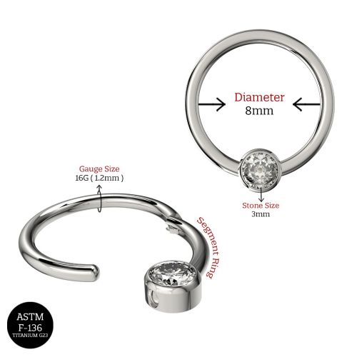 G23 Titanium CZ Jewelled Hinged Segment Clicker Ring