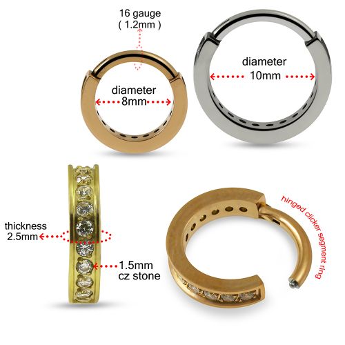 G23 Grade Titanium CZ Jewelled Hinged Clicker Segment Ring