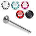 925 Sterling Silver 5pcs CZ Straight End Nose Stud Box - Monster Piercing