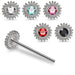 925 Sterling Silver 5pcs CZ Jewelled Coil Design Straight End Nose Stud Box - Monster Piercing